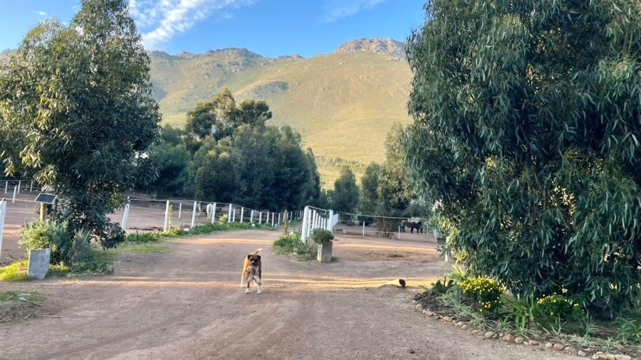3 Bedroom Property for Sale in Firlands Western Cape